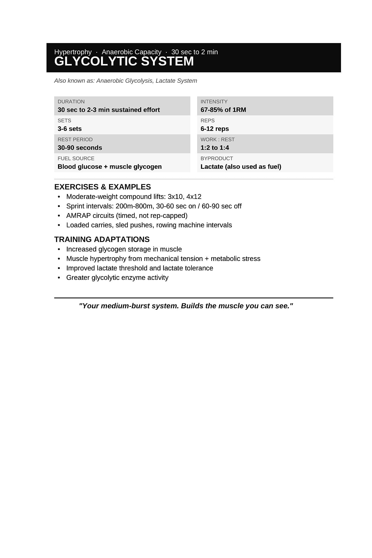 Glycolytic System
